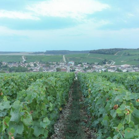 Une Parenthese En Champagne Jaucourt Bagian luar foto