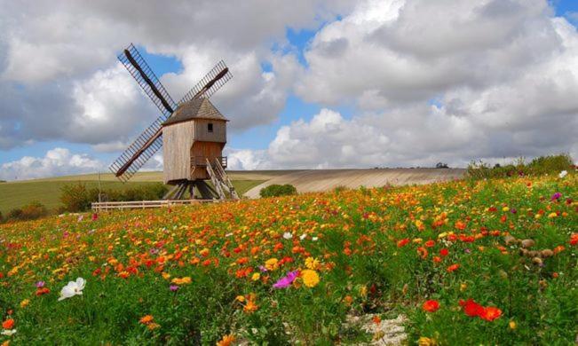 Une Parenthese En Champagne Jaucourt Bagian luar foto