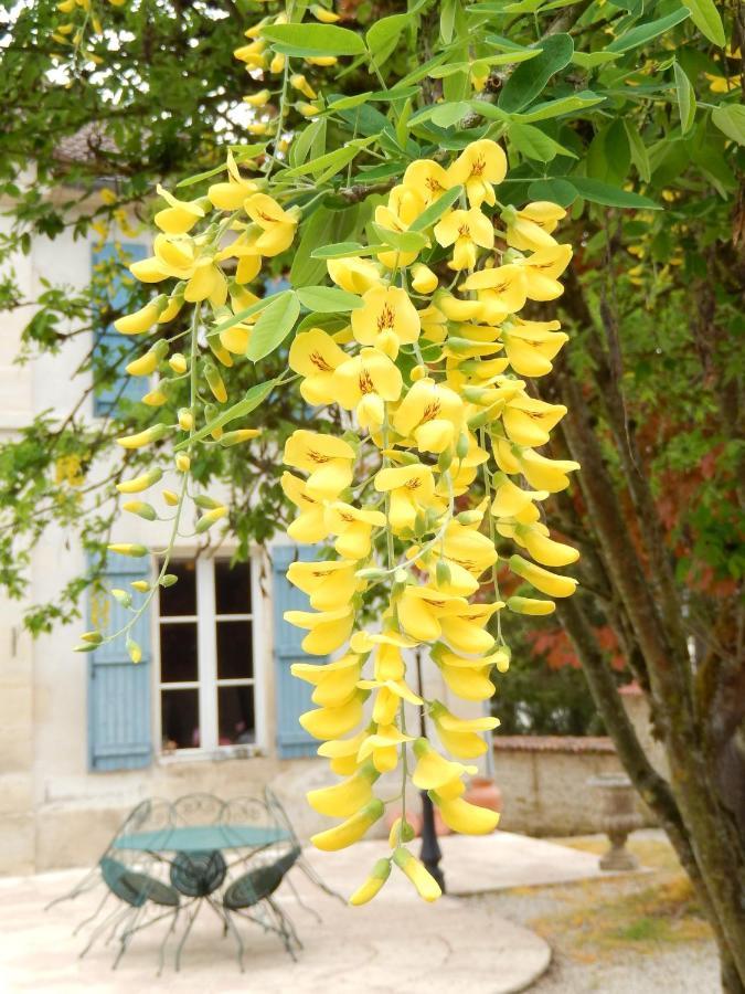 Une Parenthese En Champagne Jaucourt Bagian luar foto